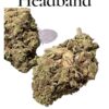 HEADBAND 7GRAMS HYBRiD 25%%THC SALE