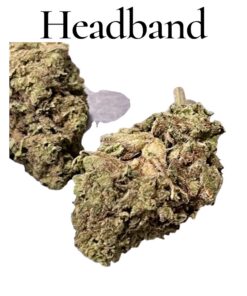 HEADBAND 7GRAMS HYBRiD 25%%THC SALE