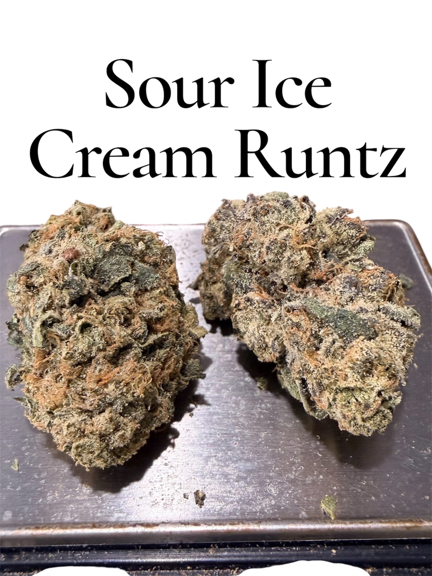 SOUR ICE CREAM RUNTZS 3.5grams HYBRID EXOTICS 🏆🔥🏆🔥 SOUR ICE CREAM RUNTZS 3.5grams HYBRID EXOTICS 🏆🔥🏆🔥