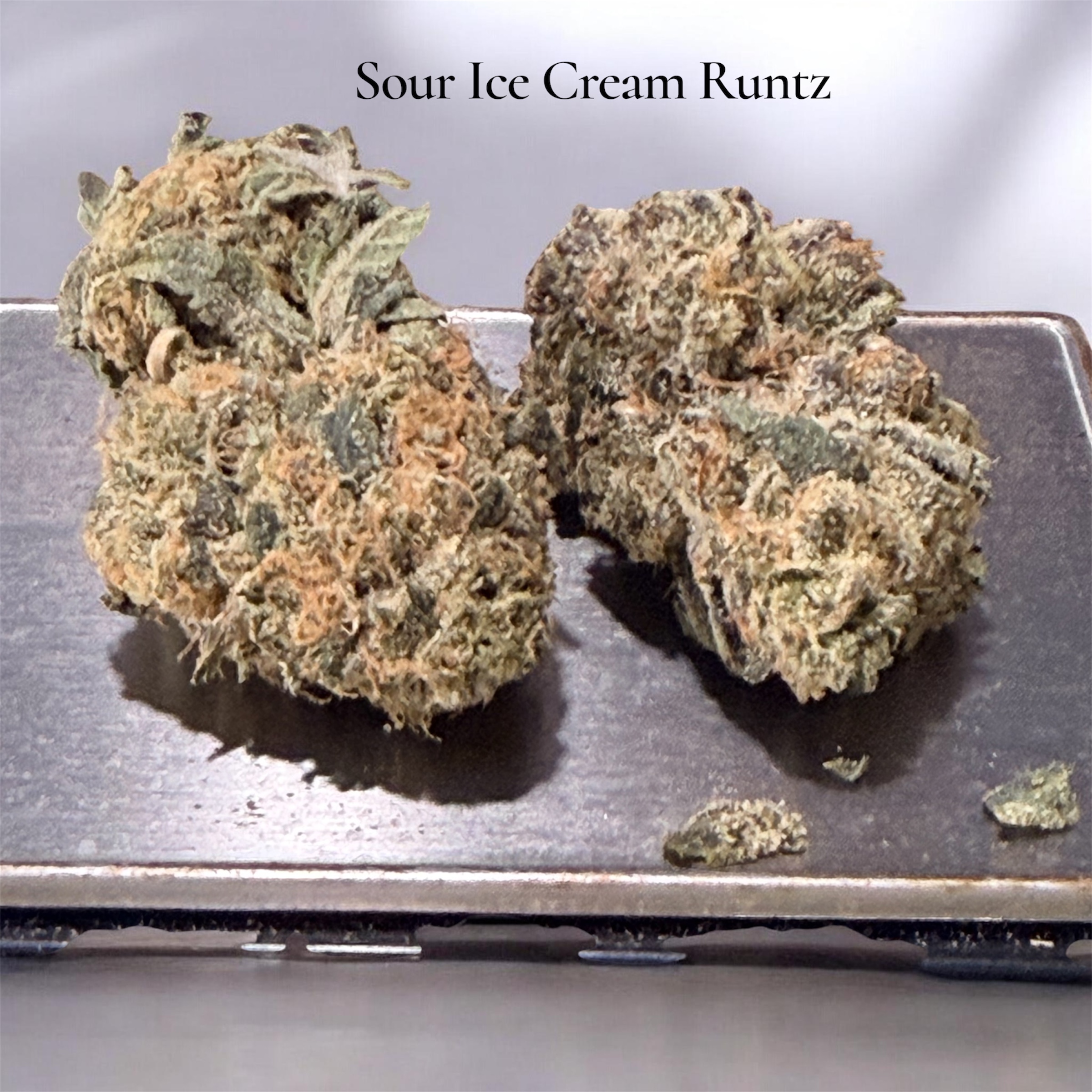 SOUR ICE CREAM RUNTZS 3.5grams HYBRID EXOTICS 🏆🔥🏆🔥 SOUR ICE CREAM RUNTZS 3.5grams HYBRID EXOTICS 🏆🔥🏆🔥