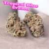 TROPICAL  BLUE DREAM  3.5G  SATIVA 38% THC RARE 🏆CUP WINNER On SALE 🏆🏆