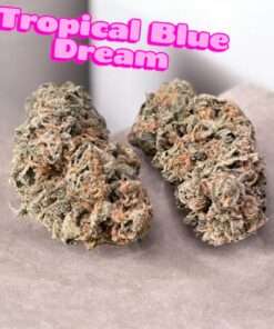 TROPICAL  BLUE DREAM  3.5G  SATIVA 38% THC RARE 🏆CUP WINNER On SALE 🏆🏆