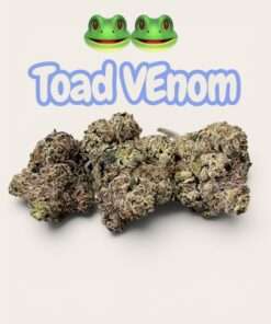 TOAD VENOM 3.5grams 🐸🐸38%THC HYBRID  🏆EXOTIC BATCH🏆