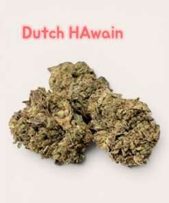 DUTCH HAWAIN 28grams SATIVA 25%THC