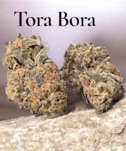 TORA BORA 28grams OZ EXOTICS 36%THC INDICA 🔥🔥