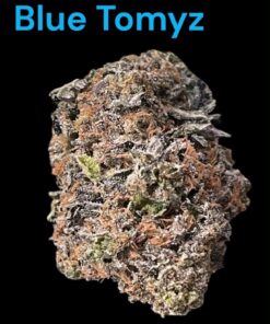 BLUE TOMYZ 🏆 28grams  SATIVA 36%THC Backpack BOyS 🎒🎒🔥🔥EXOTICS