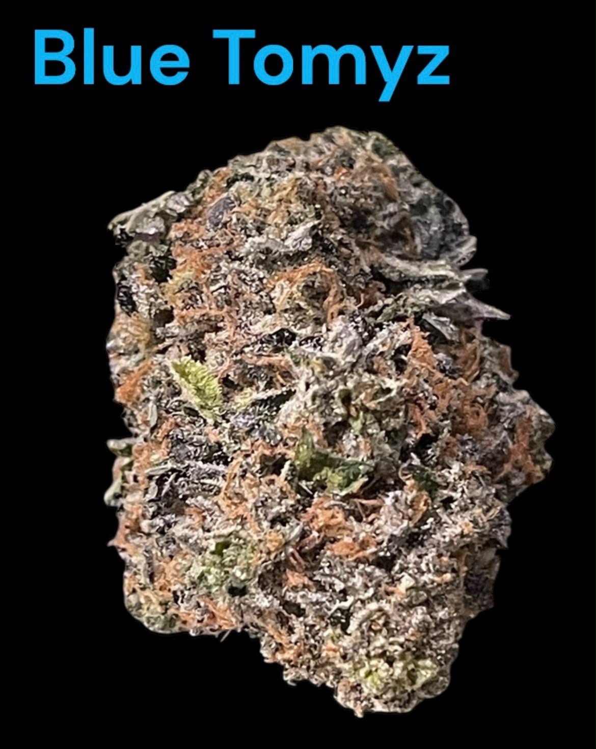 BLUE TOMYZ ๐ 28grams SATIVA 36%THC Backpack BOyS ๐๐๐ฅ๐ฅEXOTICS BLUE TOMYZ ๐ 28grams SATIVA 36%THC Backpack BOyS ๐๐๐ฅ๐ฅEXOTICS