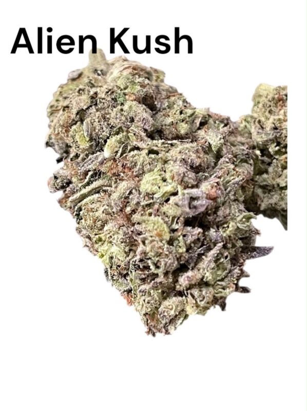 Alien Kush Review: A Potent Indica Hybrid Delivering Earthy Pine Terpenes, Heavy Euphoria, and Deep Body Relaxation