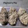 Hidden Pastry (JUNGLE Boys) NEW!! INDICA