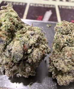 SLURRICANE (IN HOUSE GENETICS)28grams OZ SALE INDICA 29%THC SLURRICANE (IN HOUSE GENETICS)28grams OZ SALE INDICA 29%THC