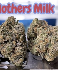 MOTHERS MILK 28grams OZ ON SALE 🏆 36%THC SATIVA EXOTICS SMALL BATCH 🔥🔥g