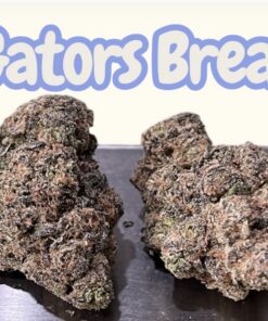 GATORS BREATH 3.5G   INDICA 36%THC EXOTICS 🔥🔥 (jungle boys loose flower)
