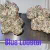 BLUE LOBSTER 3.5g ON SALE HYBRID AWARD WINNING BATCH LIMITED 🔥🔥🔥35%THC 🎉NEW BATCH