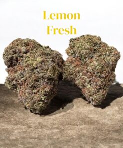 LEMON 🍋 FRESH 28g SATIVA 29% THC 🔥🔥