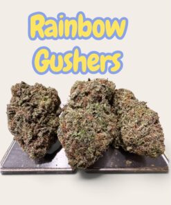 RAINBOW GUSHER 28grams OZ ON SALE  HYBRiD 29%THC