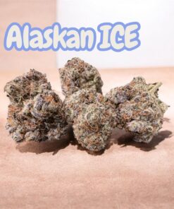 ALASKAN ICE 3.5g EXOTiC SATIVA 36%THC  (White Widow x  Haze) ⛱️SUMMER SALE⛱️🔥