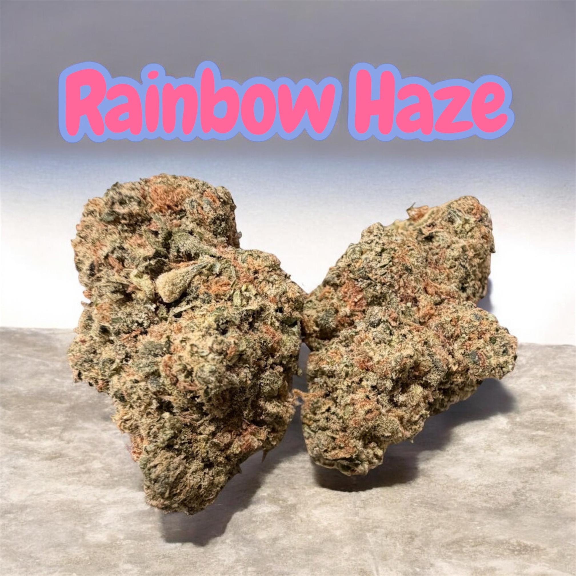 RAINBOW HAZE 3.5grams EXOTiC SATIVA 37%THC 🏆CUP WINNER 🏆 SUMMER SALE🔥🔥 RAINBOW HAZE 3.5grams EXOTiC SATIVA 37%THC 🏆CUP WINNER 🏆 SUMMER SALE🔥🔥