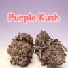 PURPLE KUSH 3.5G INDICA 30%THC ⛱️SUMMER SALE ⛱️