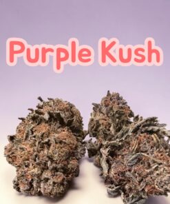 PURPLE KUSH 3.5G INDICA 30%THC ⛱️SUMMER SALE ⛱️ PURPLE KUSH 3.5G INDICA 30%THC ⛱️SUMMER SALE ⛱️