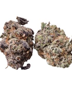 CHERRY CHEESAKE 28g OUNCE 35%THC INDICA 🏆ΕXOTICS🏆 CHERRY CHEESAKE 28g OUNCE 35%THC INDICA 🏆ΕXOTICS🏆