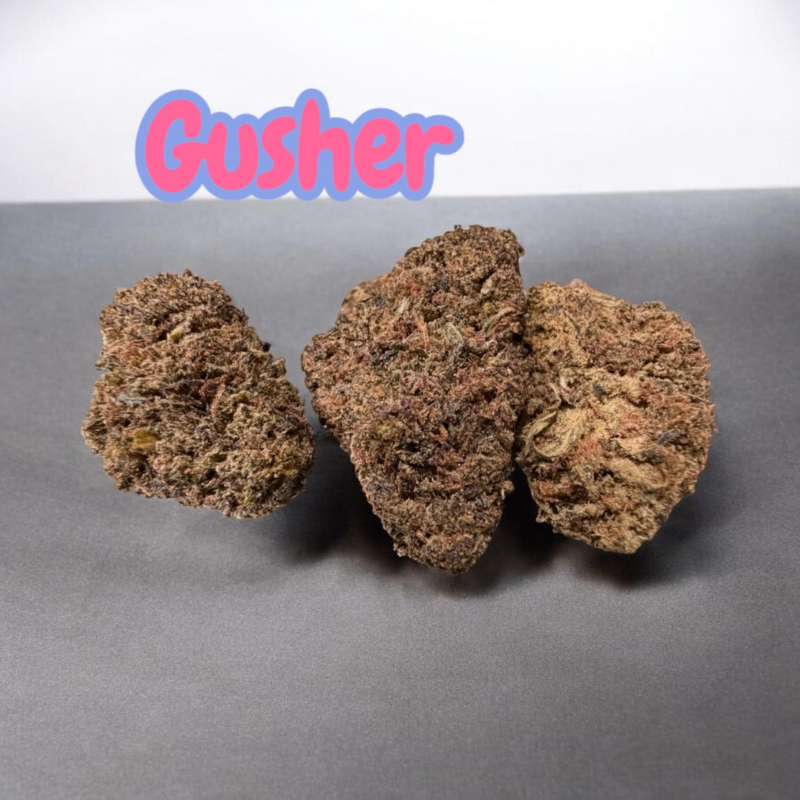 Gushers Review: A Candy-Sweet Hybrid Bursting With Tropical Fruit Terpenes, Potent Euphoria, and Smooth Relaxation