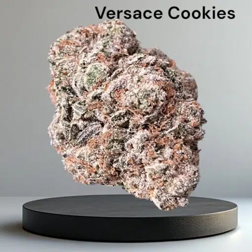 Versace Cookies Review: A Luxurious Dessert Hybrid Delivering Creamy Sweet Terpenes, Potent Euphoria, and Deep Relaxation