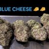 FISH SCALE 28g OZ ON SALE 25% THC HYBRID