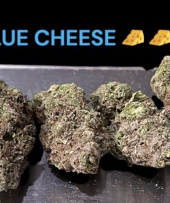 BLUE CHEESE 28g INDICA OZ ON SALE 🔥🔥25%THC