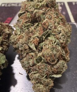 OREO  7 GRAMS INDICA ON SALE  25%THC QUARTER