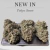 Tokyo Snow28g OZ ON SALE SATIVA 29%THC 🔥🔥