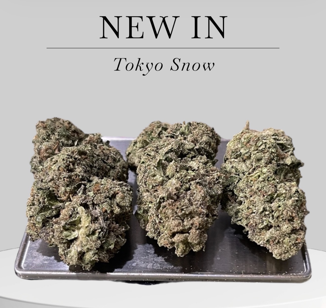 Tokyo Snow28g OZ ON SALE SATIVA 29%THC π₯π₯ Tokyo Snow28g OZ ON SALE SATIVA 29%THC π₯π₯