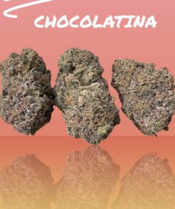 CHOCOLATINA 28grams OZ ON SALE 36% THC SATIVA 🏆🏆 EXOTICS 🔥🔥 RARE