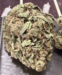 SOUR JOKER 🎉14GRAMS HALF OZ SALE 23%THC SATIVA