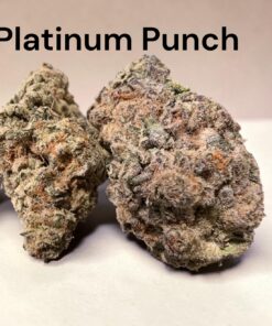 PLATINUM PUNCH 🥊4grams SATIVA DOM 33%THC 🎉LABOR DAY SALE🎉