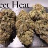 STREET HEAT 7grams QUARTER SATIVA 25%THC SALE