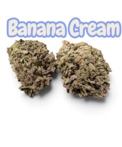 🍌BANANA CREAM 🍌14grams HALF OZ 23%THC HYBRID  ON SALE
