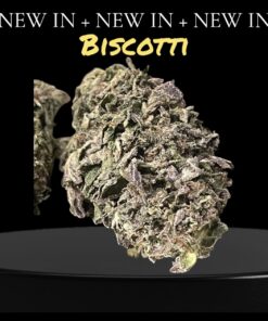 BISCOTTI 7GRAMS QUARTER SALE  25%THC INDiCA SALE 🏝️🔥