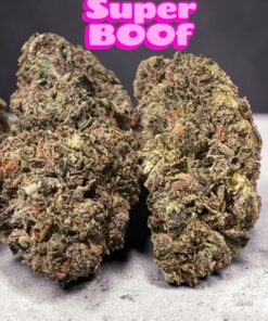 SUPER BOOF  7GRAMS QUARTER  25%THC HYBRID SALE 🔥🔥