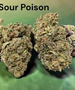 SOUR POISON 7grams SATIVA ON SALE QUARTER 25%THC SATIVA SOUR POISON 7grams SATIVA ON SALE QUARTER 25%THC SATIVA