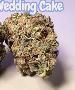 WEDDING CAKE 7GRAMS QUARTER SALE 26%THC HYBRID