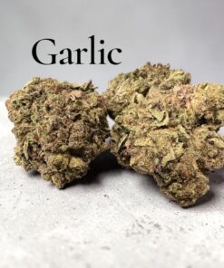 GARLIC 7grams QUARTER INDICA 25%THC SALE GARLIC 7grams QUARTER INDICA 25%THC SALE