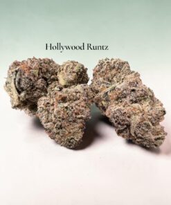 HOLLYWOOD RUNTZ 3.5grams HYBRID 35%THC EXOTICS++🎉 COLOMBUS SALE🎉🔥🔥 HOLLYWOOD RUNTZ 3.5grams HYBRID 35%THC EXOTICS++🎉 COLOMBUS SALE🎉🔥🔥