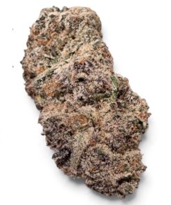 HOLLYWOOD RUNTZ 3.5grams HYBRID 35%THC EXOTICS++🎉 COLOMBUS SALE🎉🔥🔥