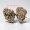 HAWAIIAN DREAM 28g SATIVA EXOTIC 🏆RARE BATCH 🏆