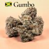 JAMAICAN GUMBO  INDICA EXOTICS +++ 35% THC RARE BATCH