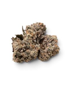 JAMAICAN GUMBO  INDICA EXOTICS +++ 35% THC RARE BATCH